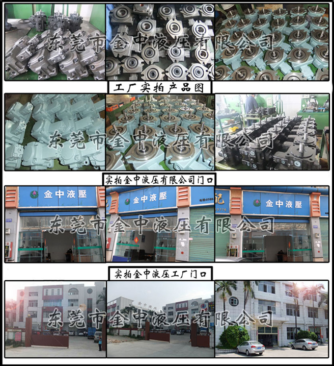 东莞金中液压，液压泵厂家，液压叶片泵