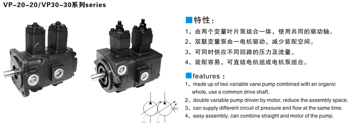 双联变量叶片泵